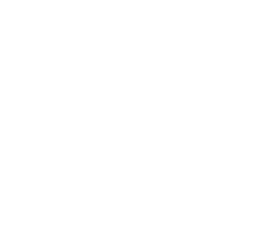 Cisco Partner Gold Integrator